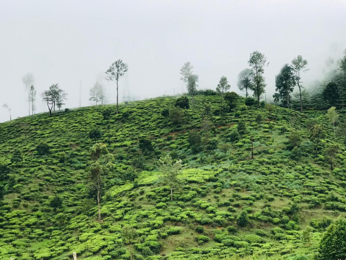 Queensland Hotel Nuwara Eliya Luaran gambar