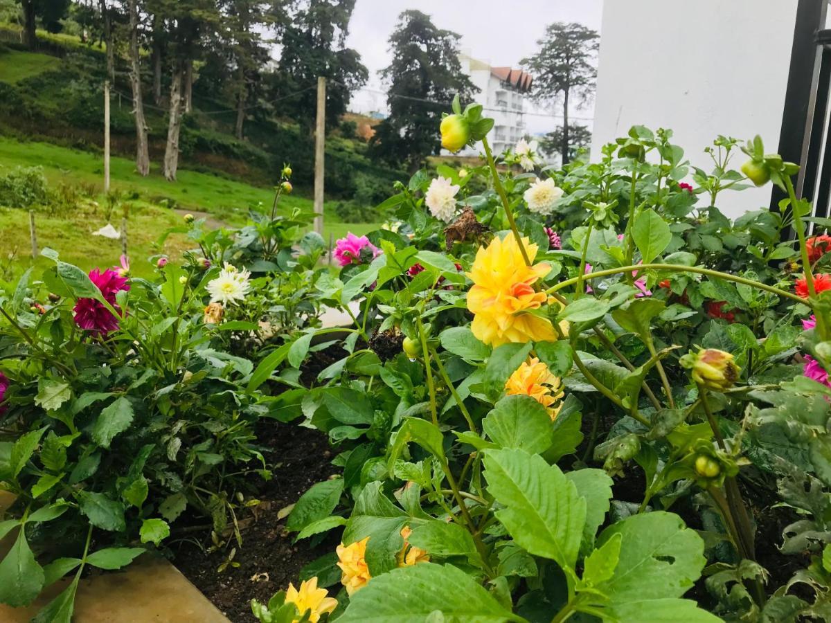 Queensland Hotel Nuwara Eliya Luaran gambar