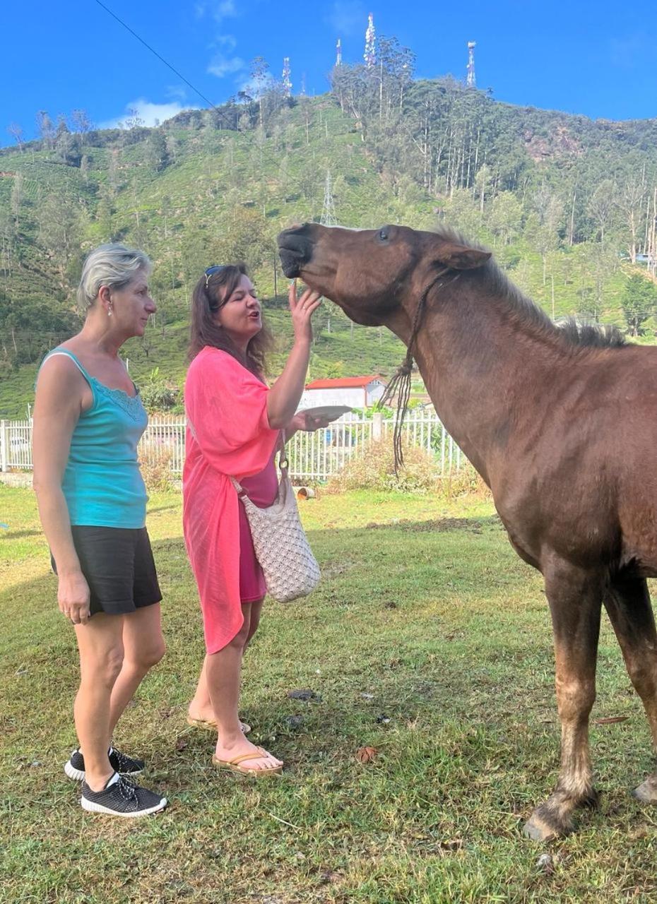 Queensland Hotel Nuwara Eliya Luaran gambar